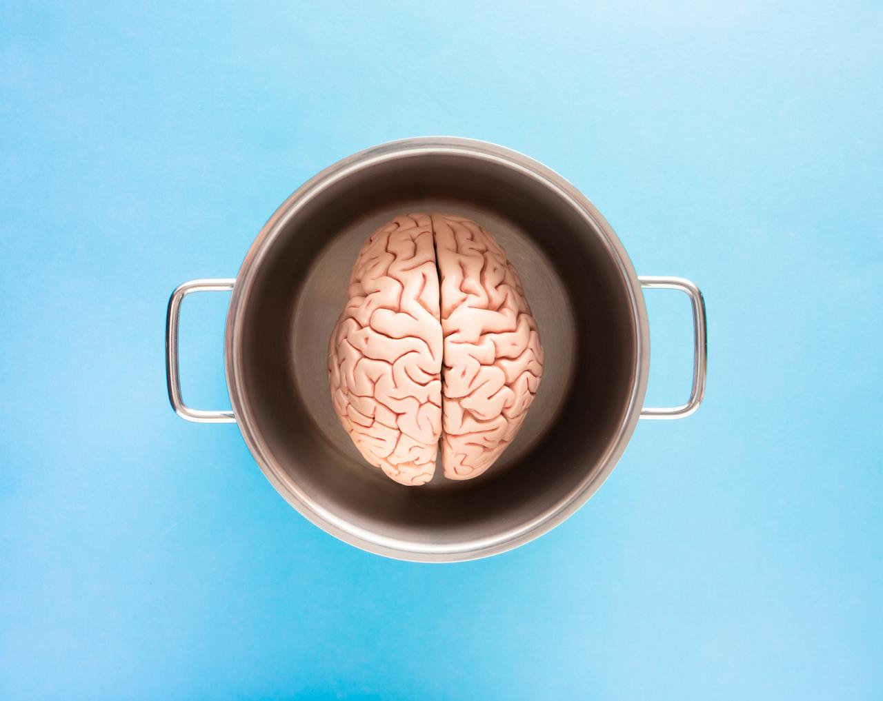 services-03 Creative shot of a human brain model in a pot against a blue backdrop, symbolizing mind and thought.