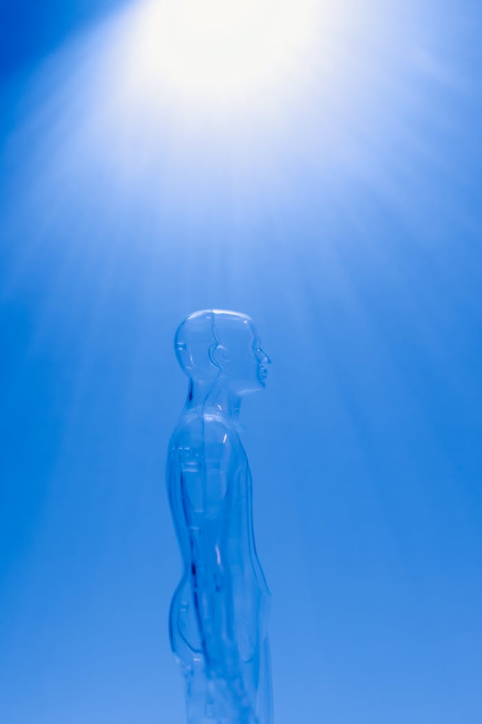 services-04 A transparent human figure under a bright blue light creating a futuristic ambiance.